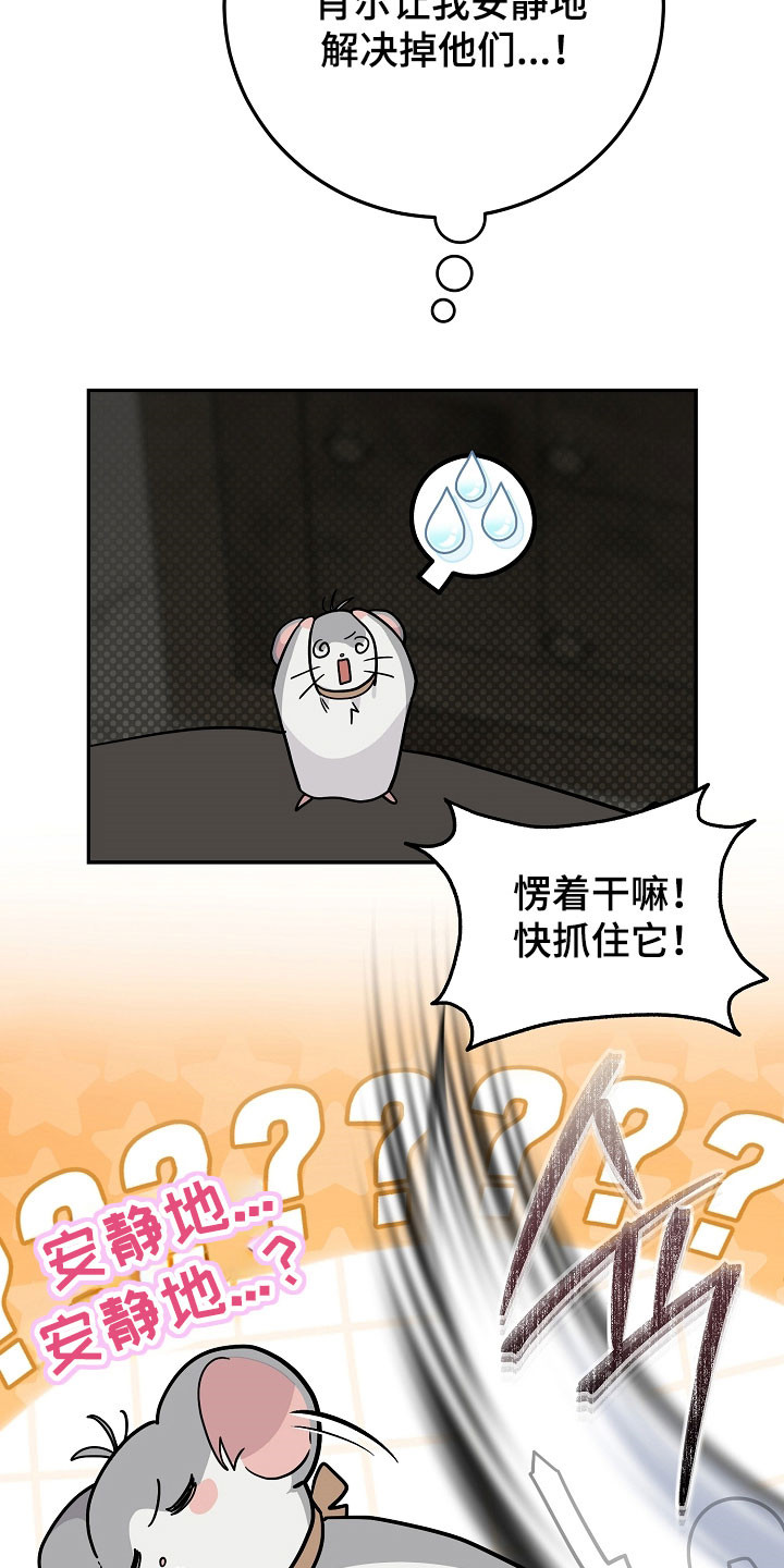 我的仓鼠外挂漫画,第35章：准备逃跑2图