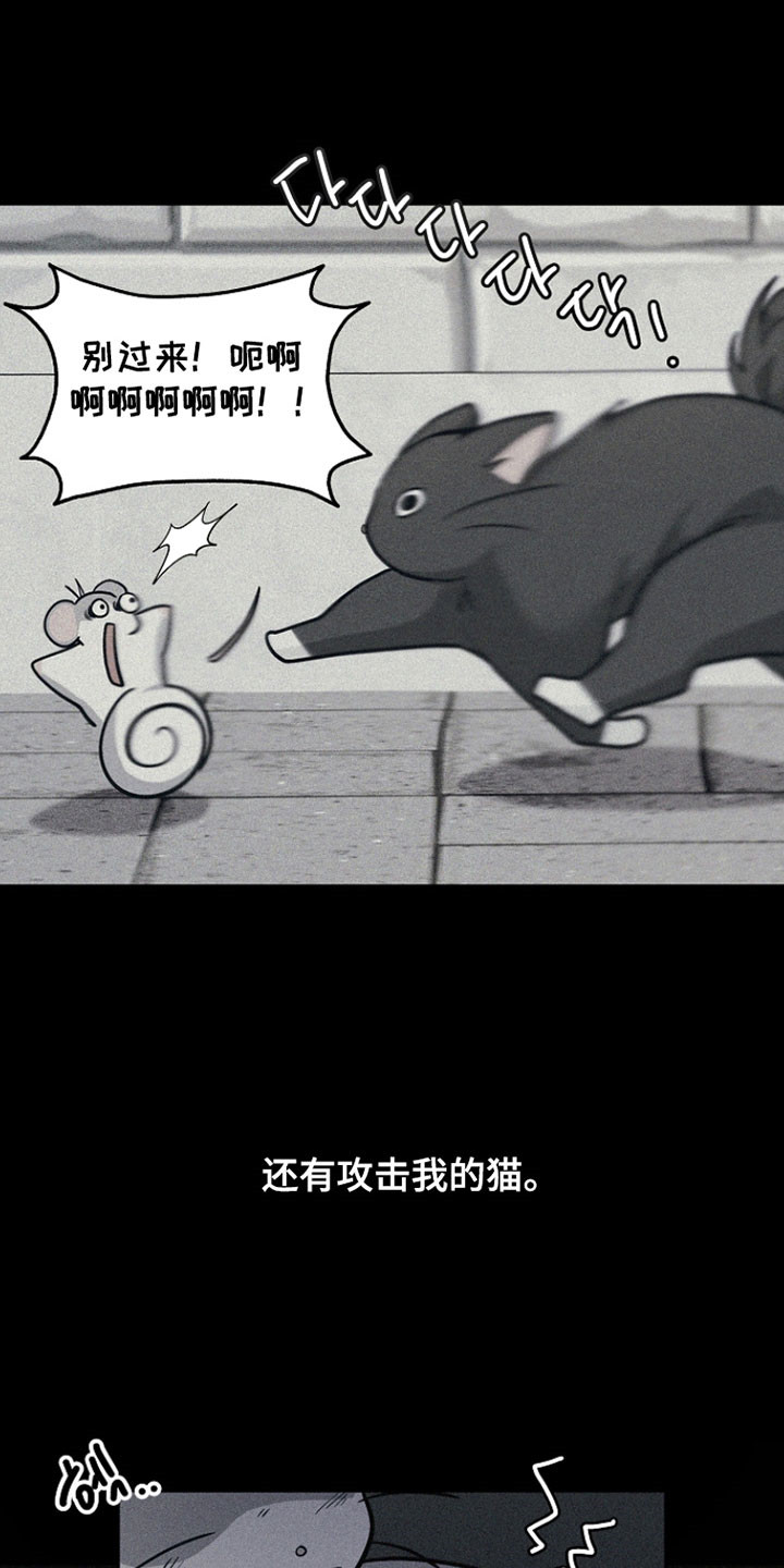 我的仓鼠人生发生恐怖事件漫画,第37章：善良的人4图