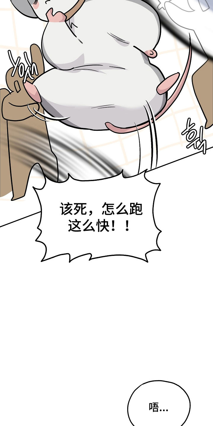 我的仓鼠外挂漫画,第35章：准备逃跑3图