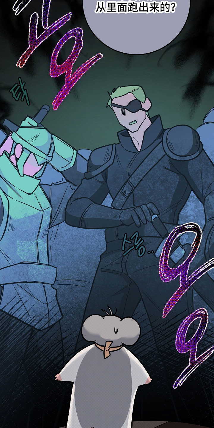 我的仓鼠外挂漫画,第35章：准备逃跑5图