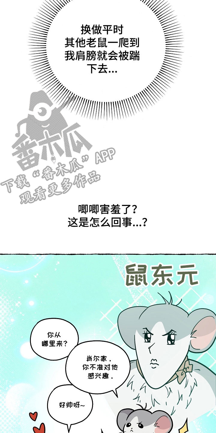 我的仓鼠外挂漫画,第35章：准备逃跑5图