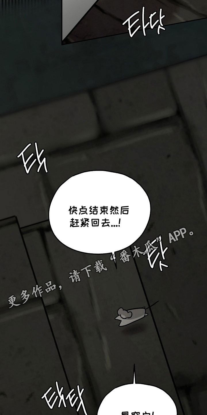 我的仓鼠外挂漫画,第35章：准备逃跑1图