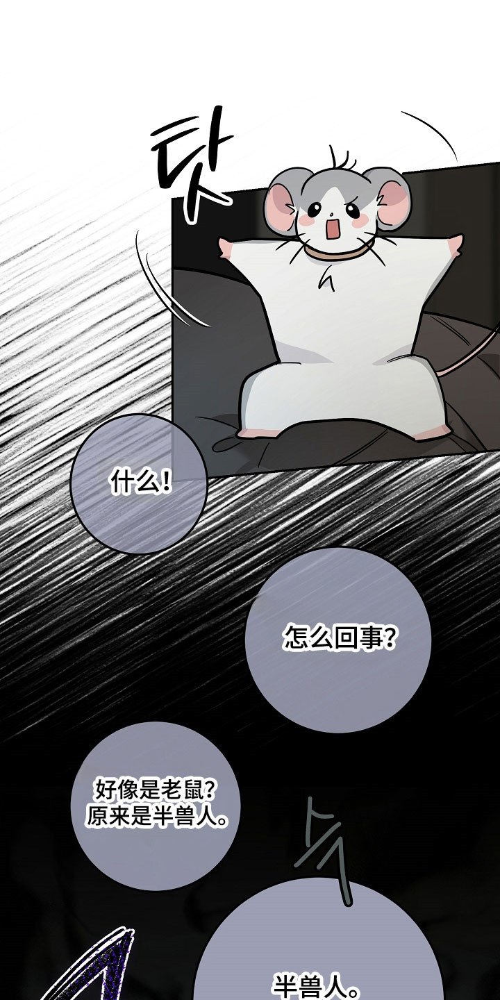 我的仓鼠外挂漫画,第35章：准备逃跑4图