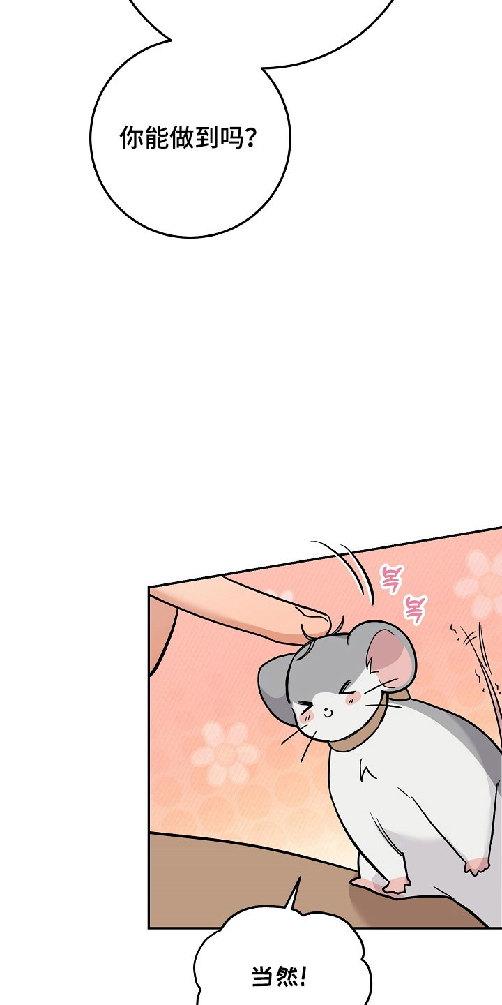 我的仓鼠外挂漫画,第35章：准备逃跑5图