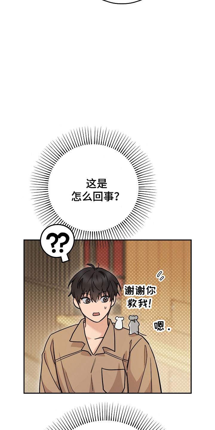 我的仓鼠外挂漫画,第35章：准备逃跑4图