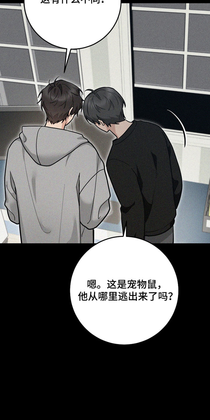 我的仓鼠人生发生恐怖事件漫画,第37章：善良的人2图