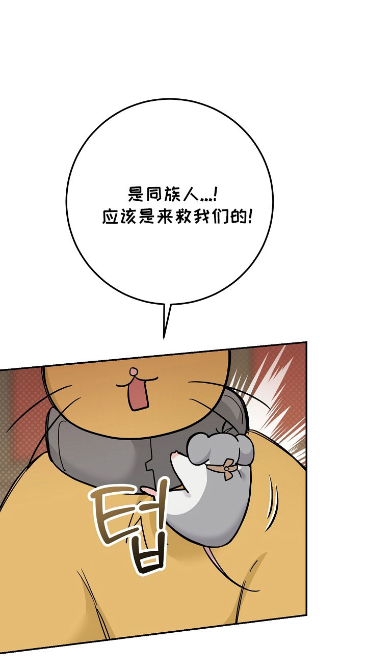 我的仓鼠在哪里下载漫画,第34章：成功潜入2图