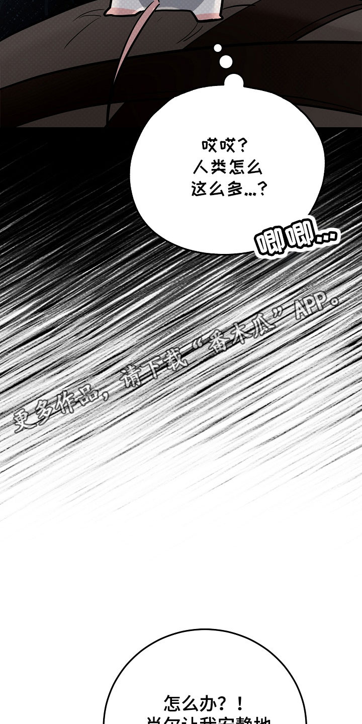 我的仓鼠外挂漫画,第35章：准备逃跑1图