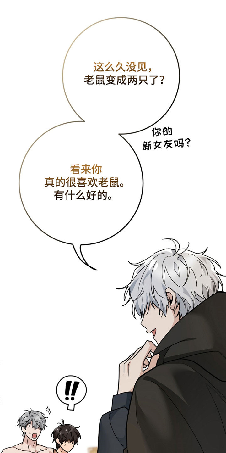 我的仓鼠外挂漫画,第36章：新的住所4图