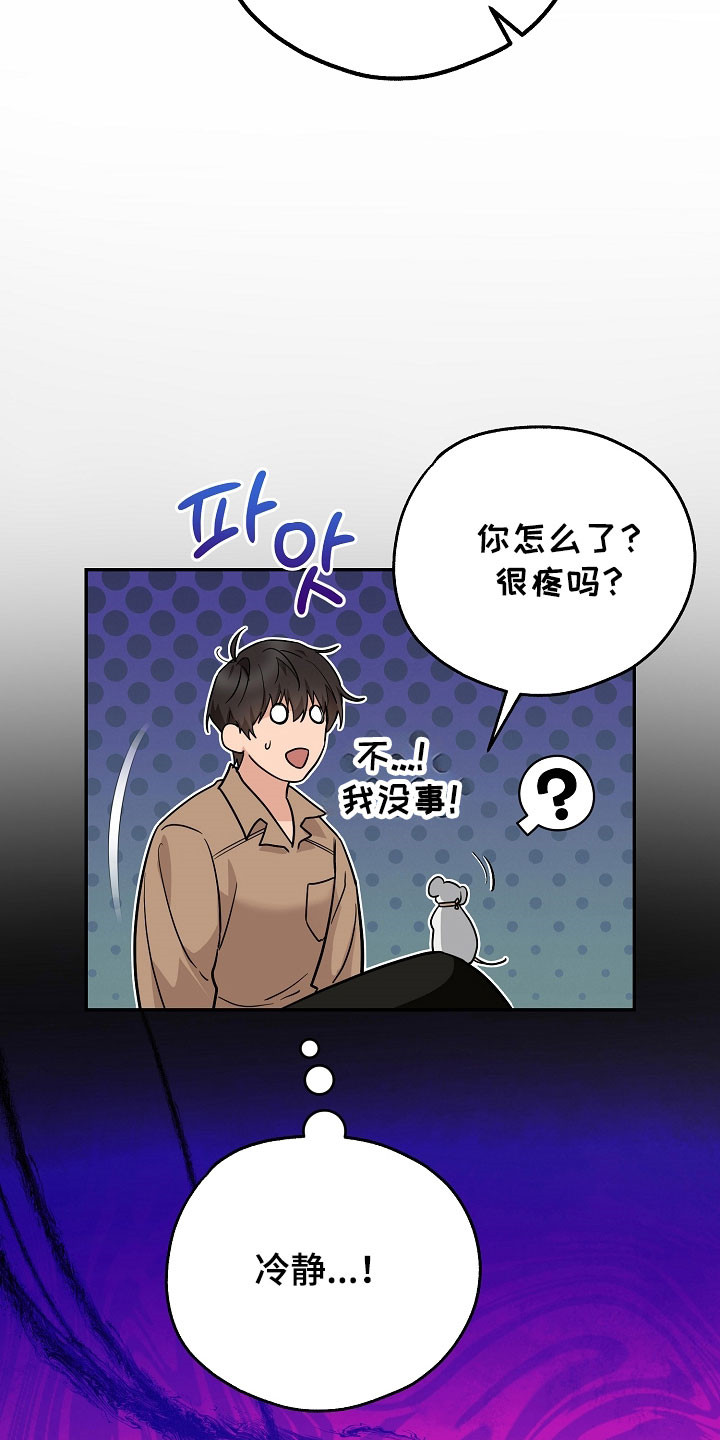 我的仓鼠外挂漫画,第34章：成功潜入3图