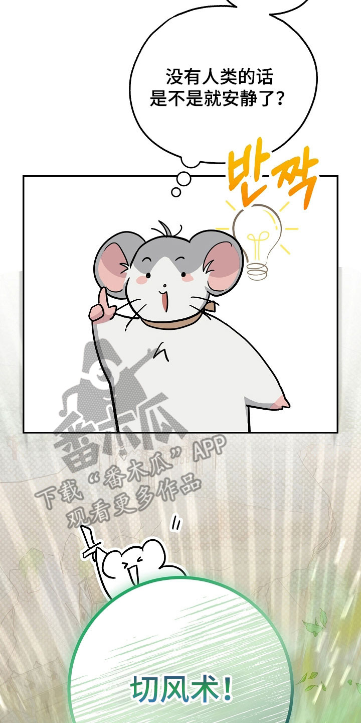 我的仓鼠外挂漫画,第35章：准备逃跑4图