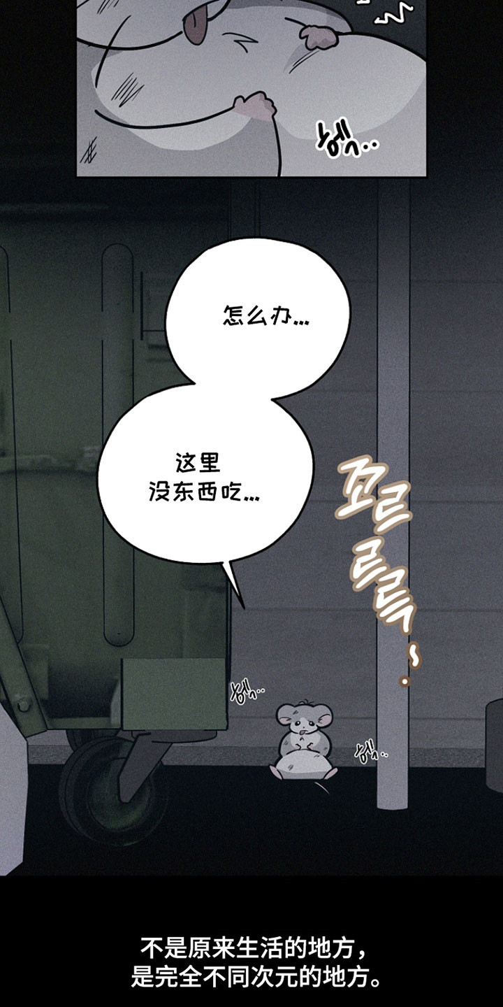 我的仓鼠人生发生恐怖事件漫画,第37章：善良的人5图