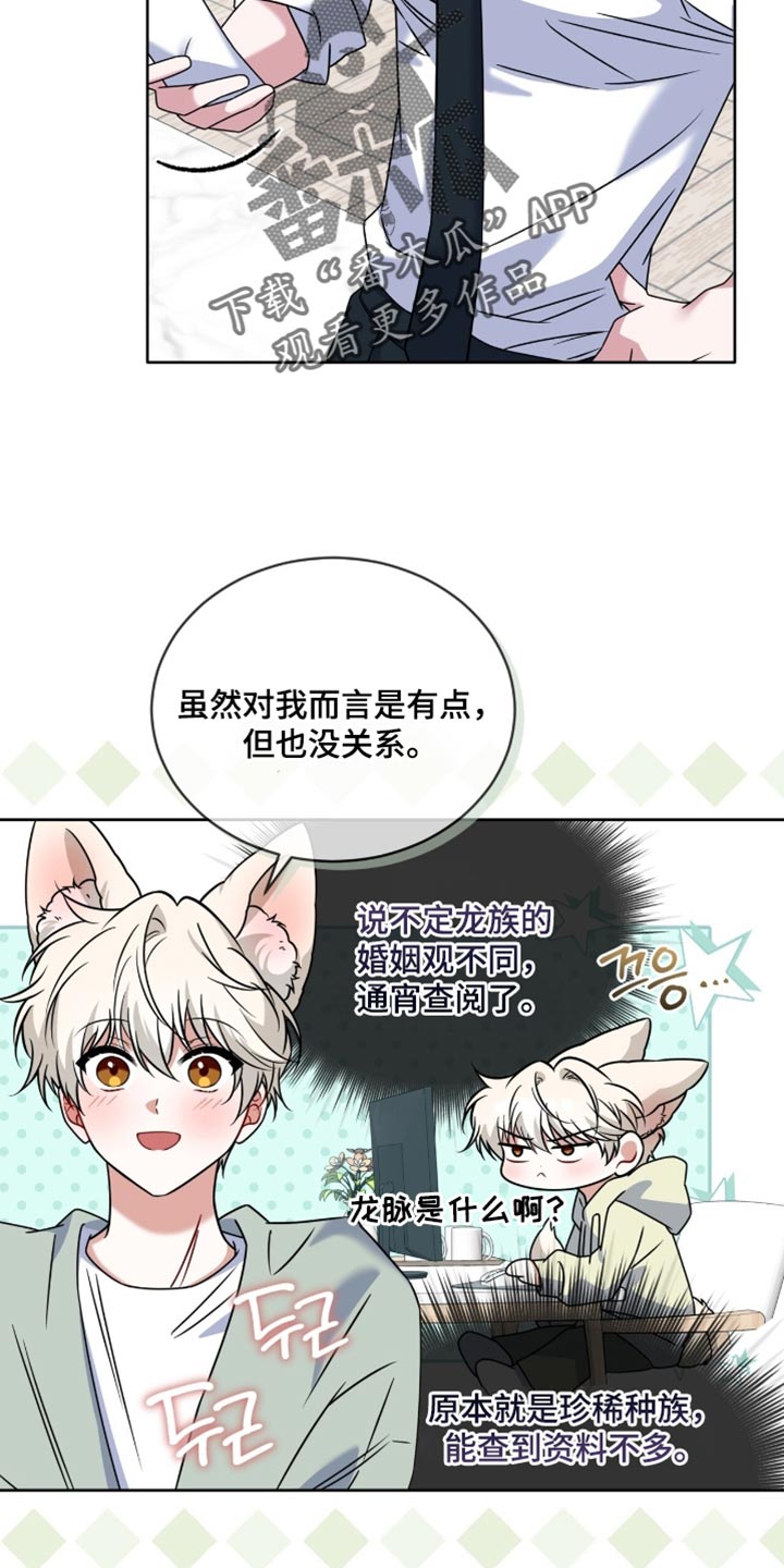 白鸟奇遇记6漫画,第134章：【第二季】期待已久了4图