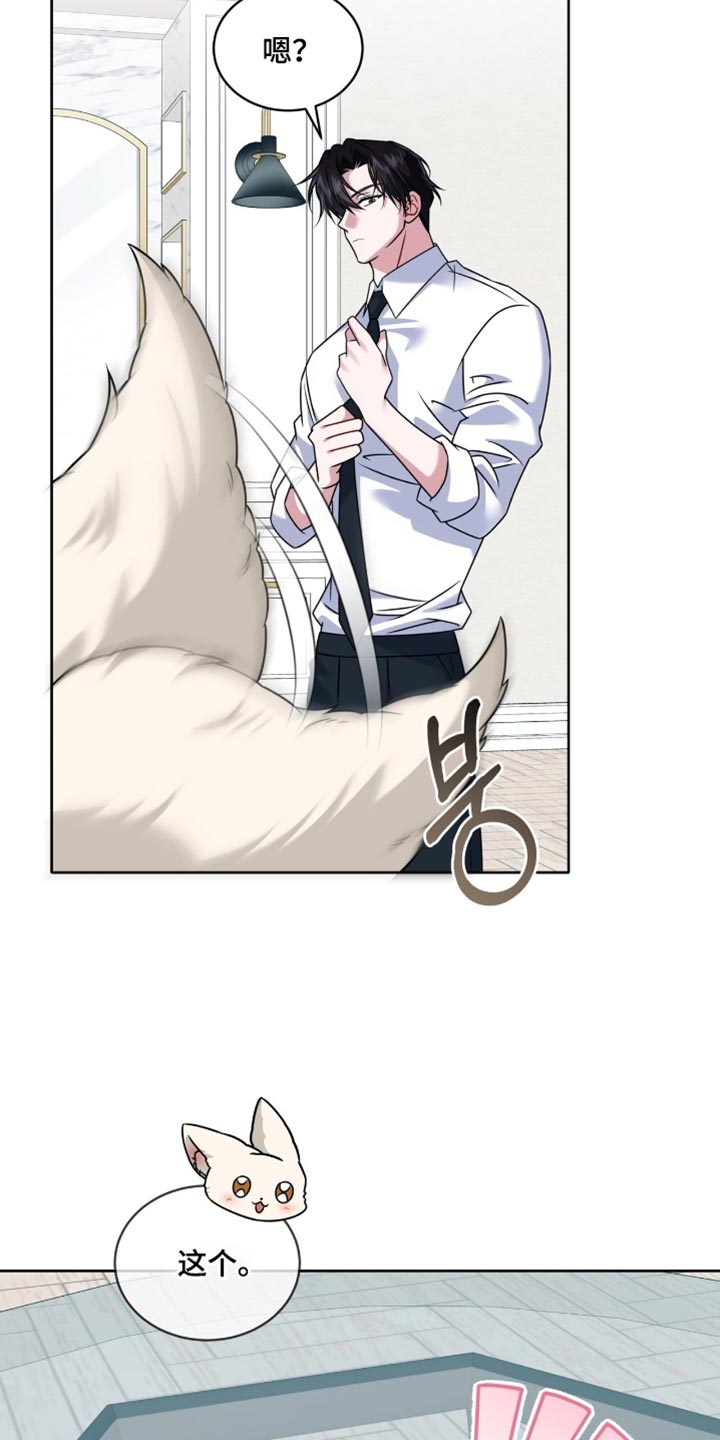 白鸟奇遇记6漫画,第134章：【第二季】期待已久了2图