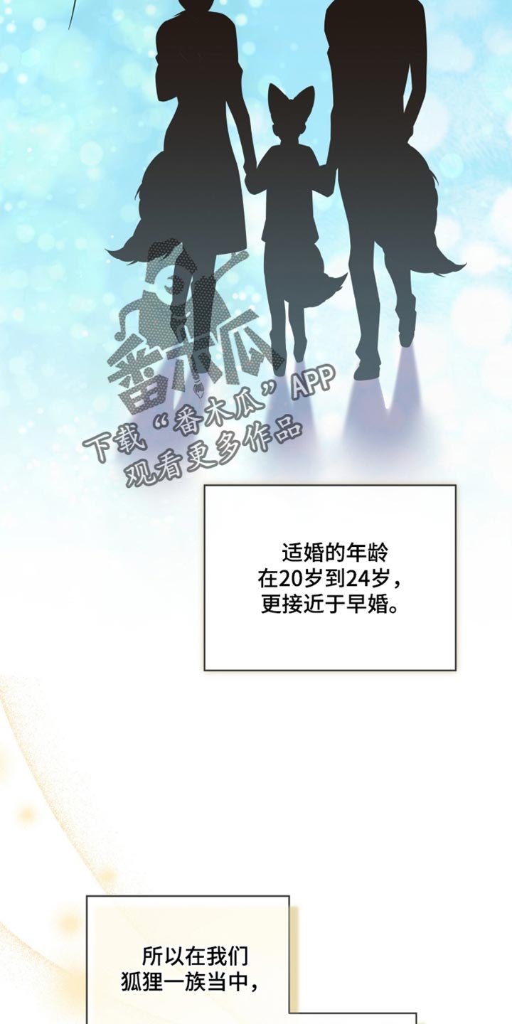 白鸟奇遇记6漫画,第134章：【第二季】期待已久了4图