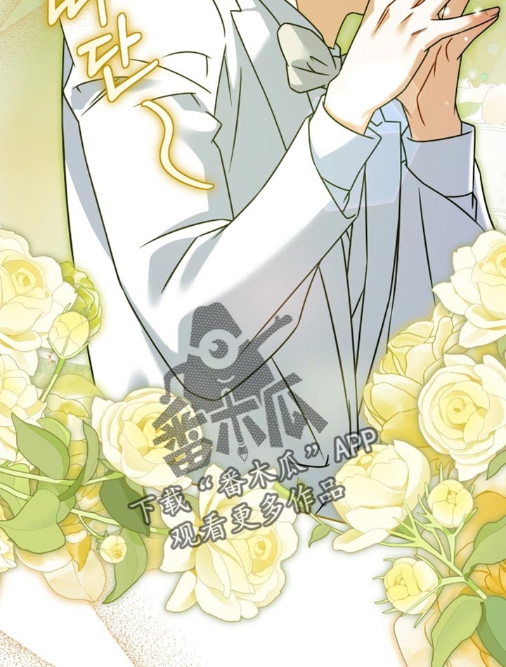 白鸟奇遇记漫画,第134章：【第二季】期待已久了4图