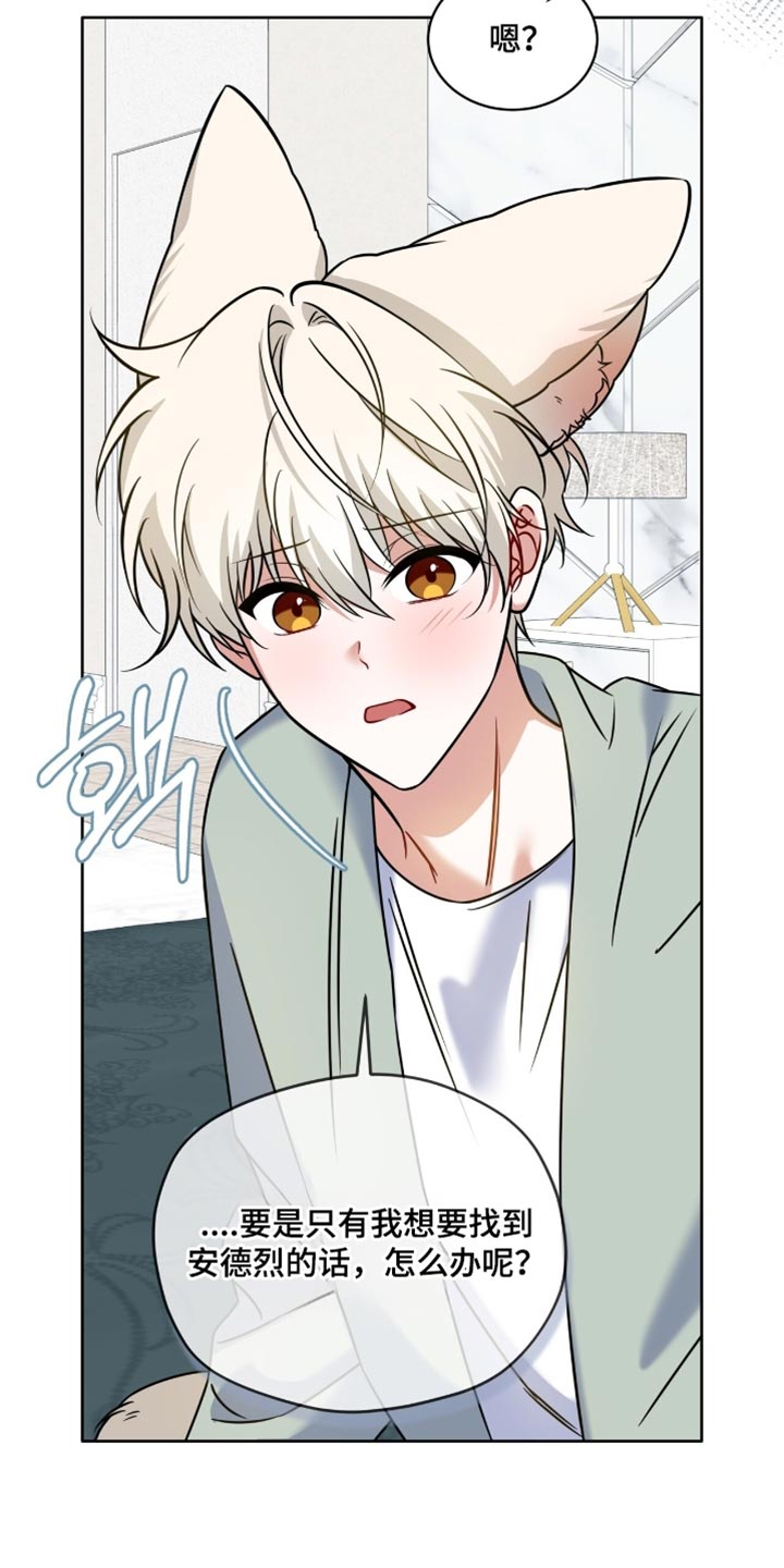 《白鸟奇遇记》简介漫画,第135章：【第二季】滴水不漏4图