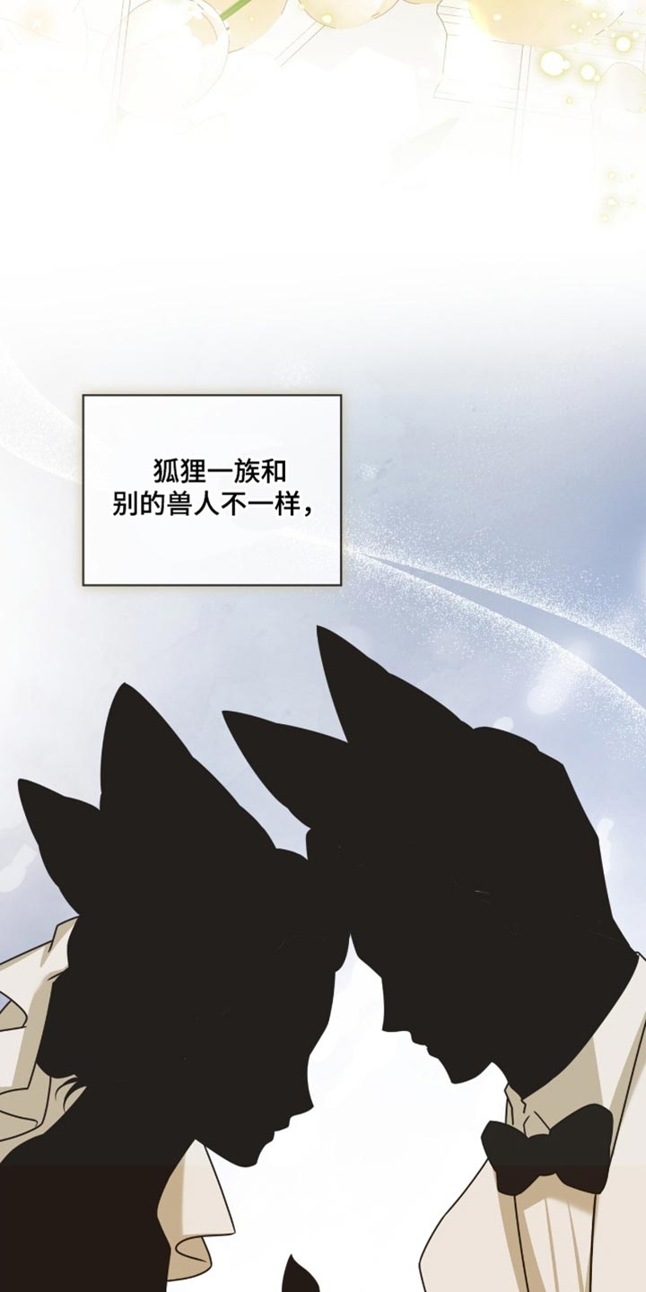 白鸟奇遇记6漫画,第134章：【第二季】期待已久了2图