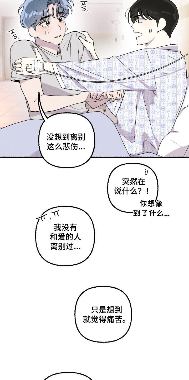 瓶中的桔梗漫画,第40章：让你担心了2图