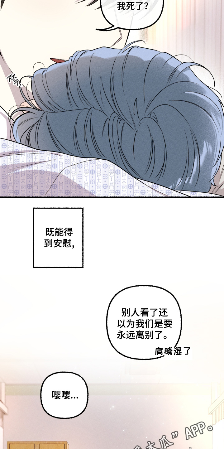 瓶中的桔梗漫画,第40章：让你担心了5图