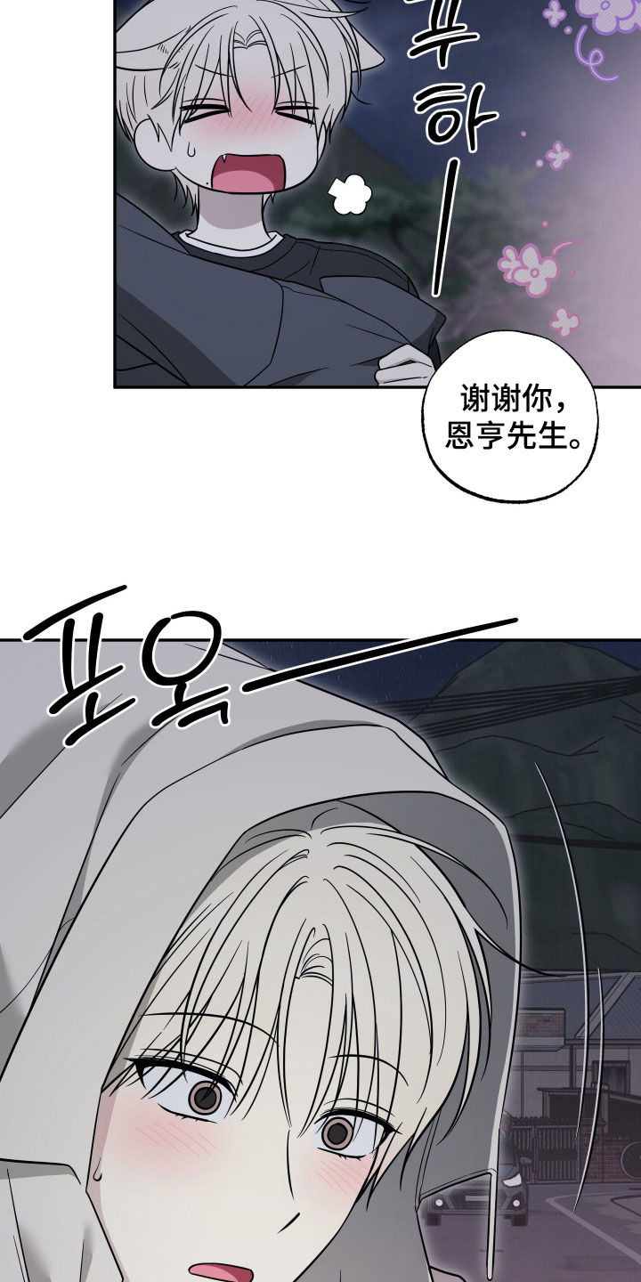 偶像有猫腻韩漫全集免费观看漫画,第47章：争取时间5图