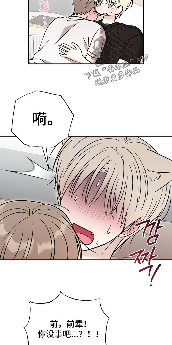 偶像有猫腻漫画,第52章：晕过去5图