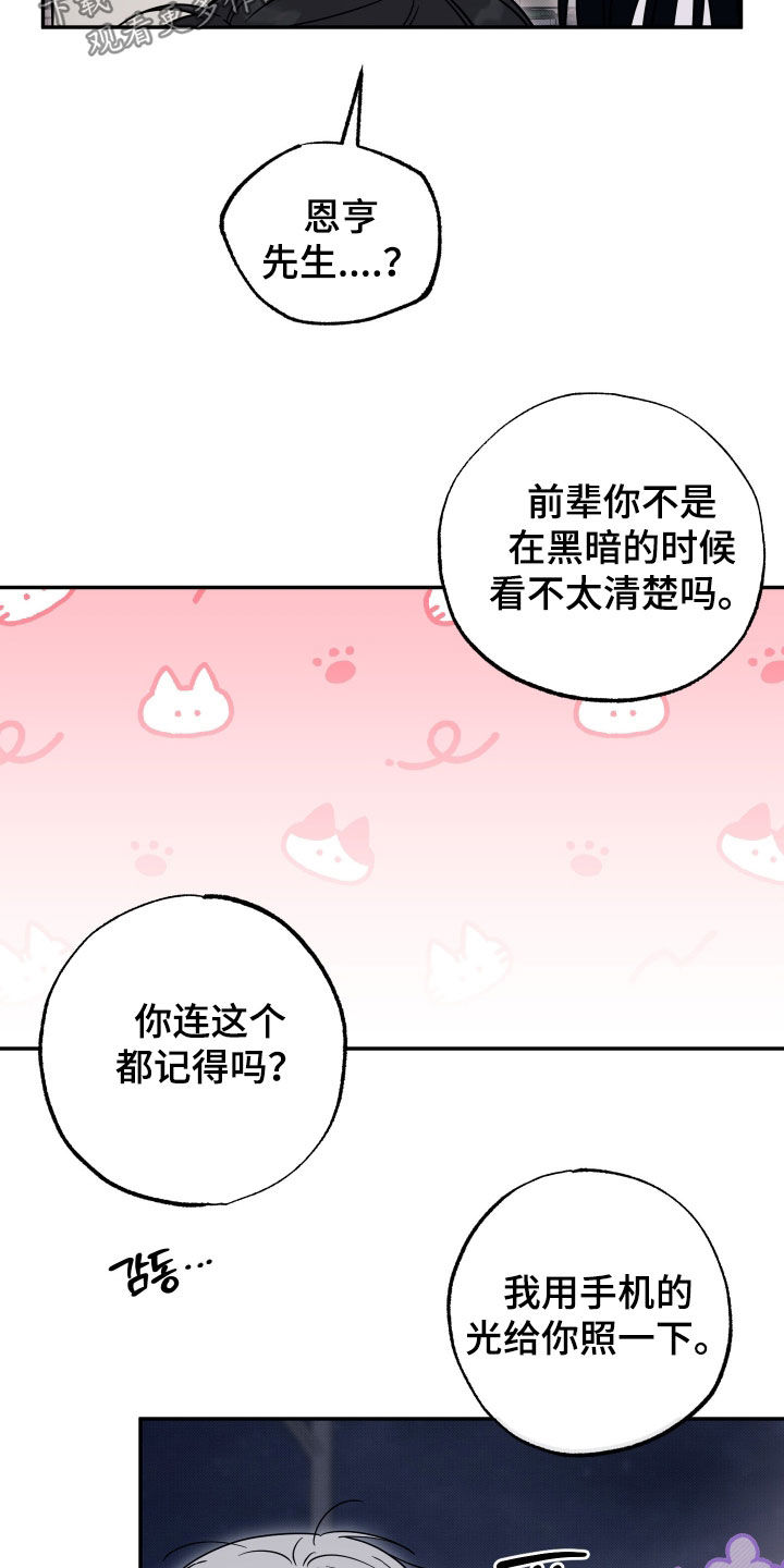 偶像有猫腻韩漫全集免费观看漫画,第47章：争取时间4图