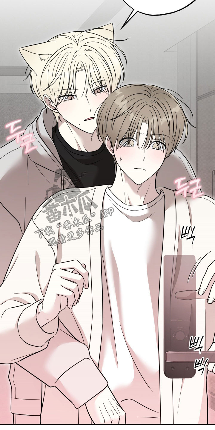 偶像有猫腻漫画,第51章：感觉很不错4图