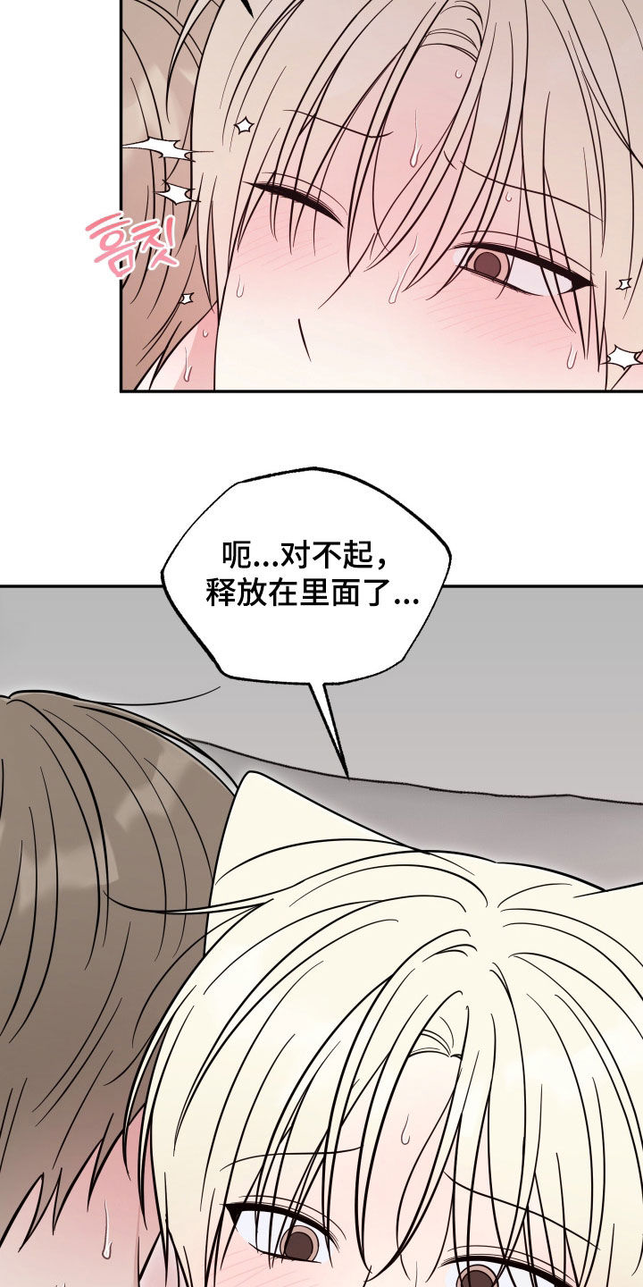偶像有猫腻漫画,第52章：晕过去3图