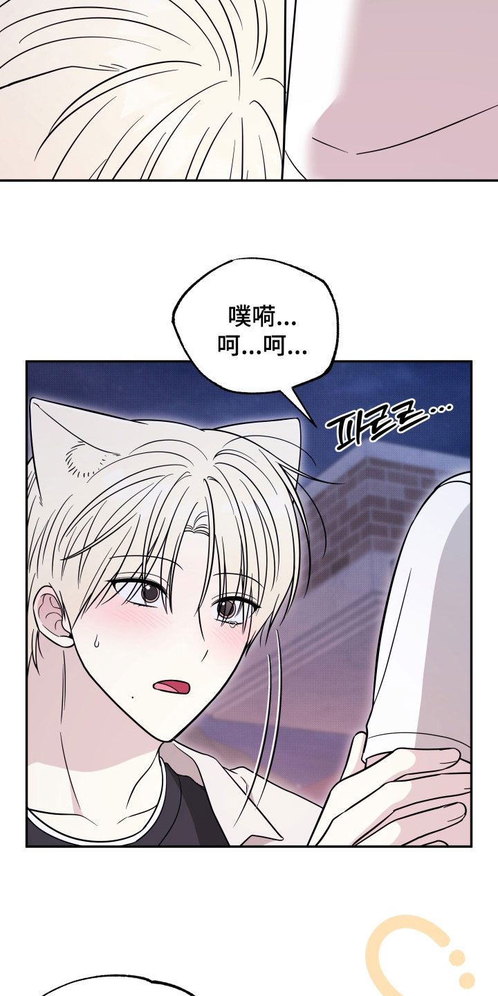 偶像有猫腻好看吗漫画,第48章：不要见别的猫5图