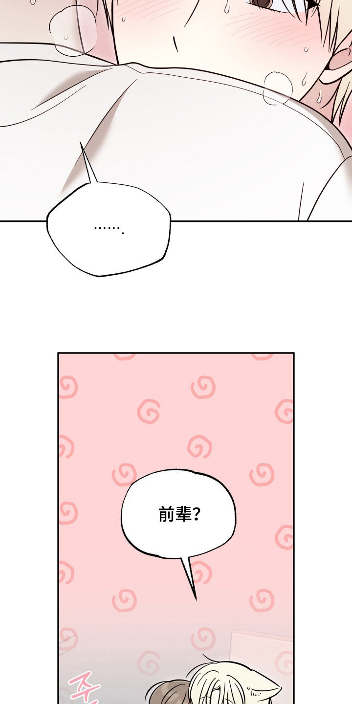 偶像有猫腻漫画,第52章：晕过去4图