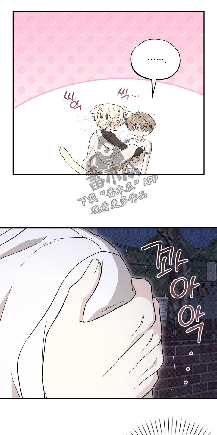 偶像有猫腻好看吗漫画,第48章：不要见别的猫1图