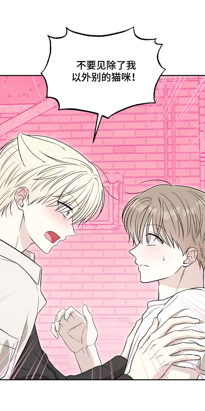 偶像有哪些魅力漫画,第48章：不要见别的猫5图