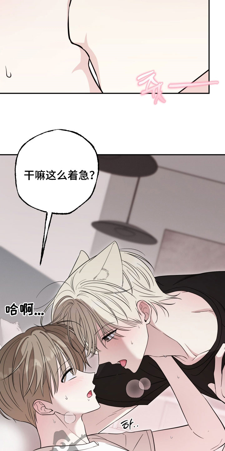 偶像有猫腻漫画,第51章：感觉很不错2图