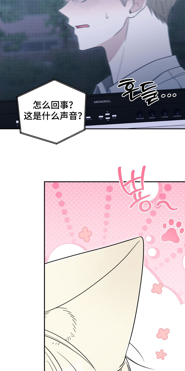 偶像有猫腻漫画,第46章：状态变差3图