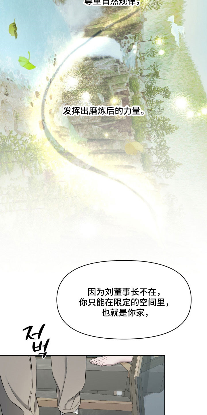 第32章：丑出百态3