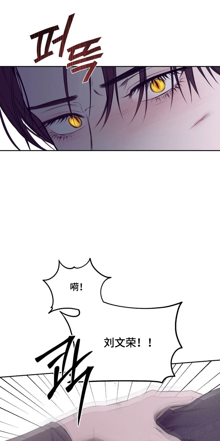 囚狐大结局漫画,第29章：必须保护他4图