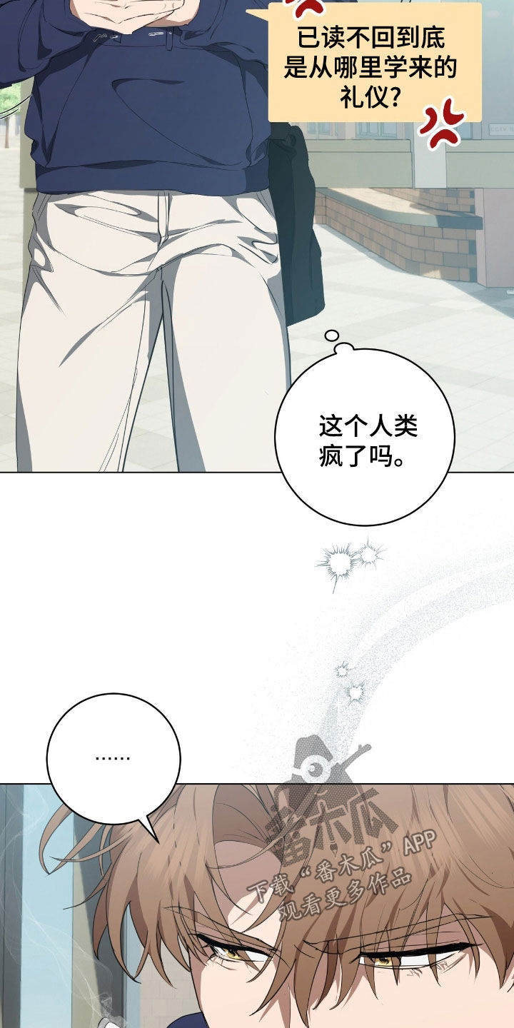 强制社保带来的恶性效果漫画,第53章：已读不回1图