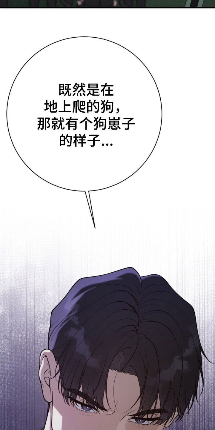 vvip是什么网站漫画,第48章：惨叫声5图