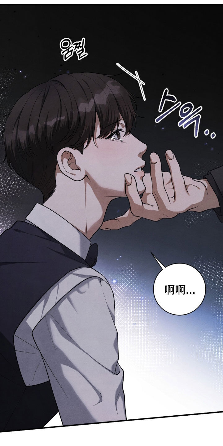 vvip网络服务的收费标准是什么漫画,第50章：心情不好3图