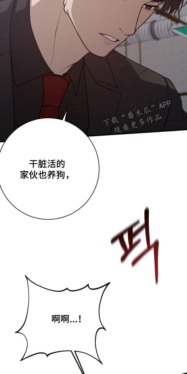 vvip是什么网站漫画,第48章：惨叫声1图