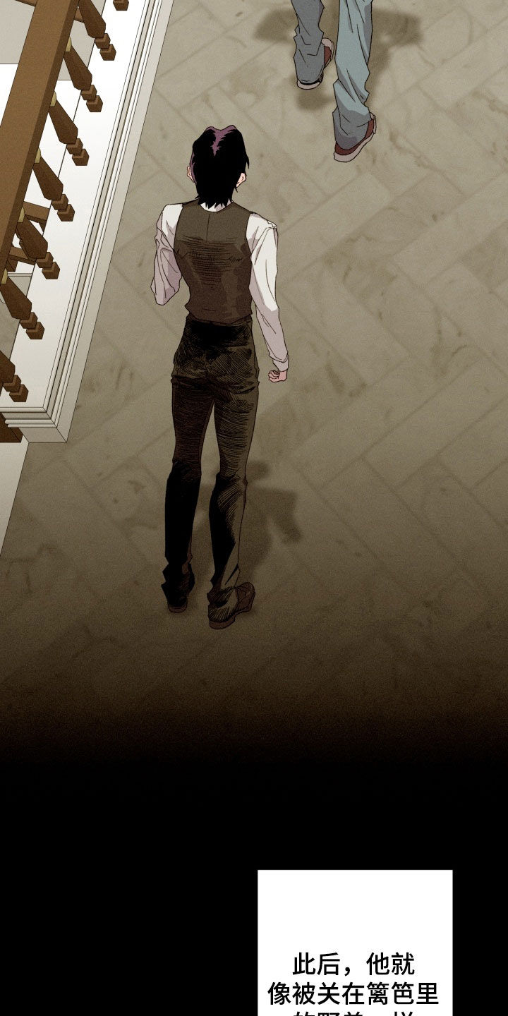 博士的惊魂夜漫画,第37章：很酷的人类3图