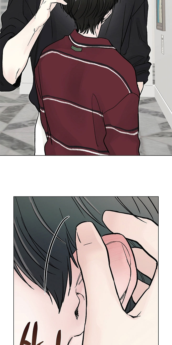 无感禁区漫画,第51章：命运2图