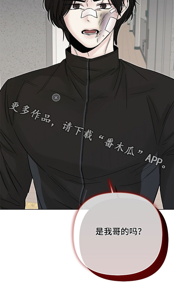 无感禁区漫画,第47章：跟踪4图