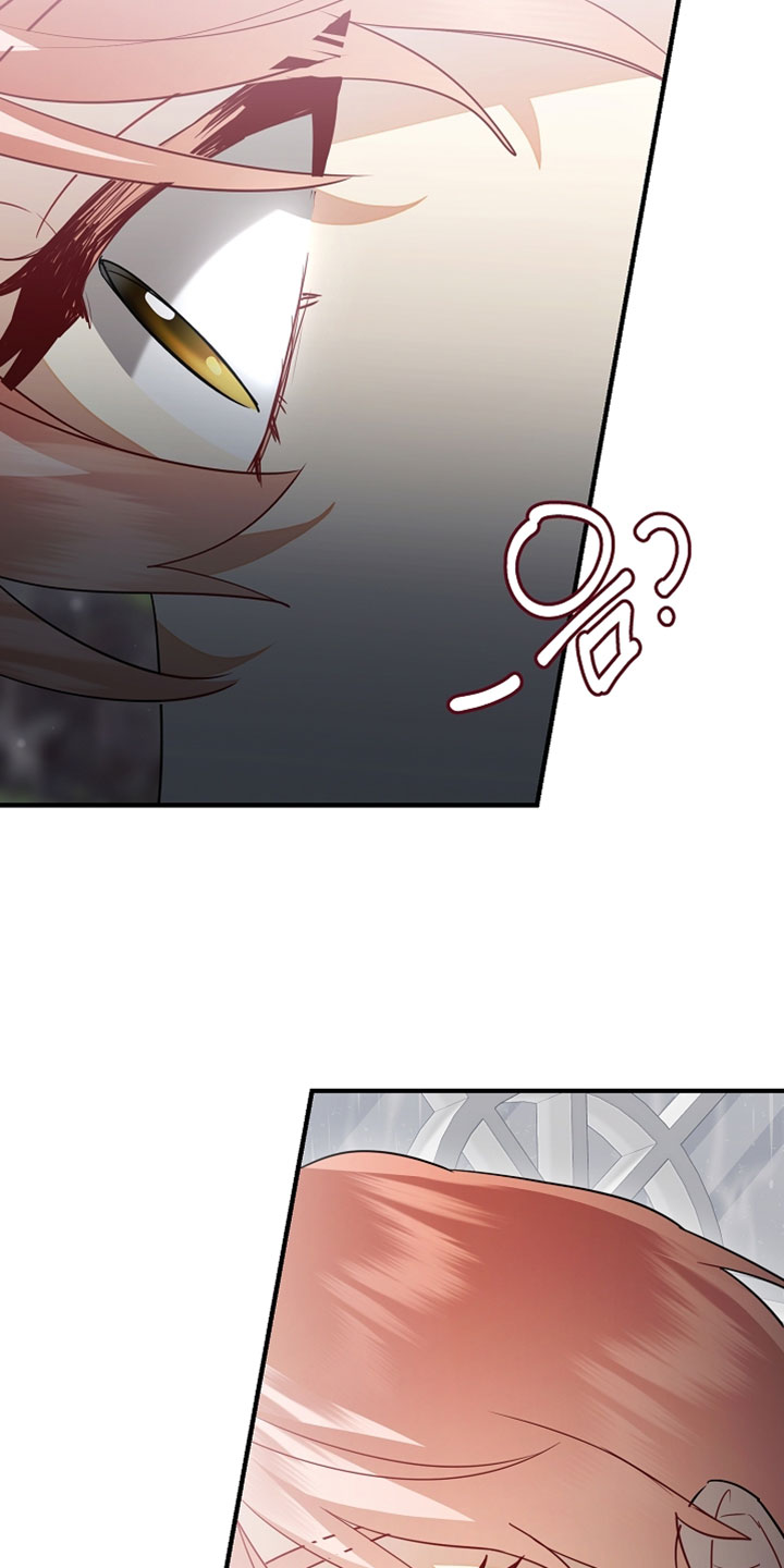 黑豹配偶超棘手角色漫画,第47章：我哪有那样的资格5图