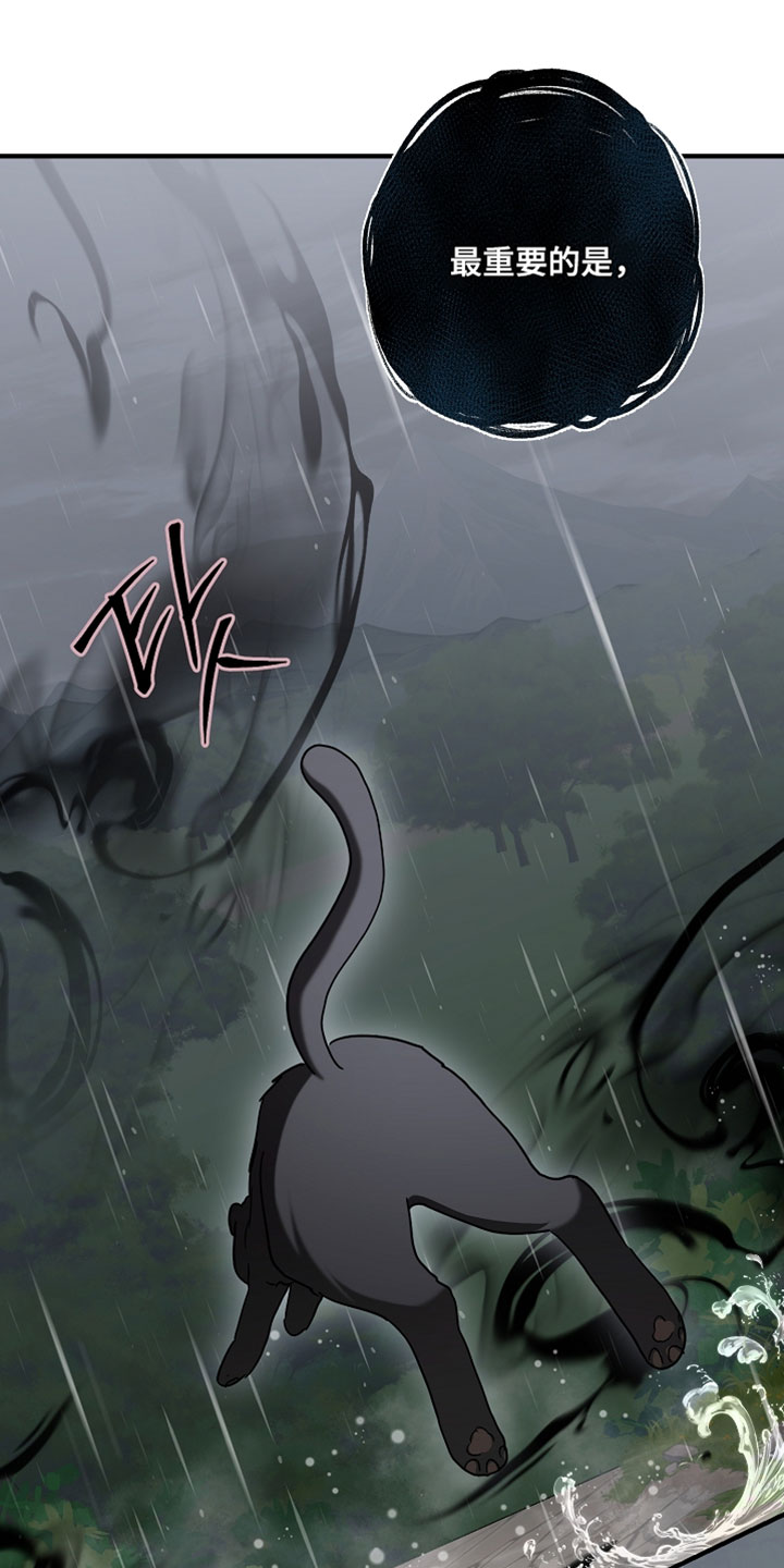 黑豹的cp是谁漫画,第48章：催眠气体4图