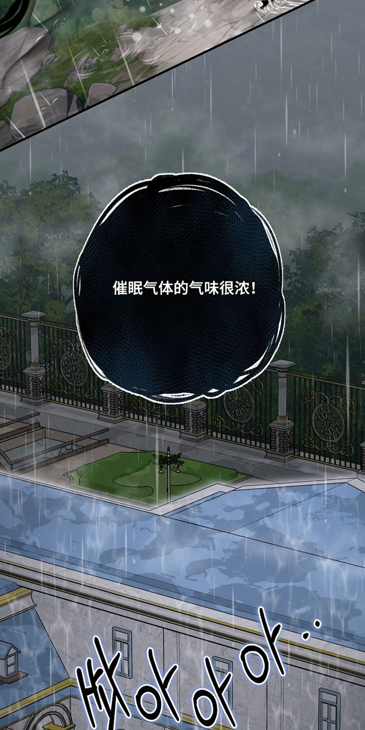 黑豹的cp是谁漫画,第48章：催眠气体5图