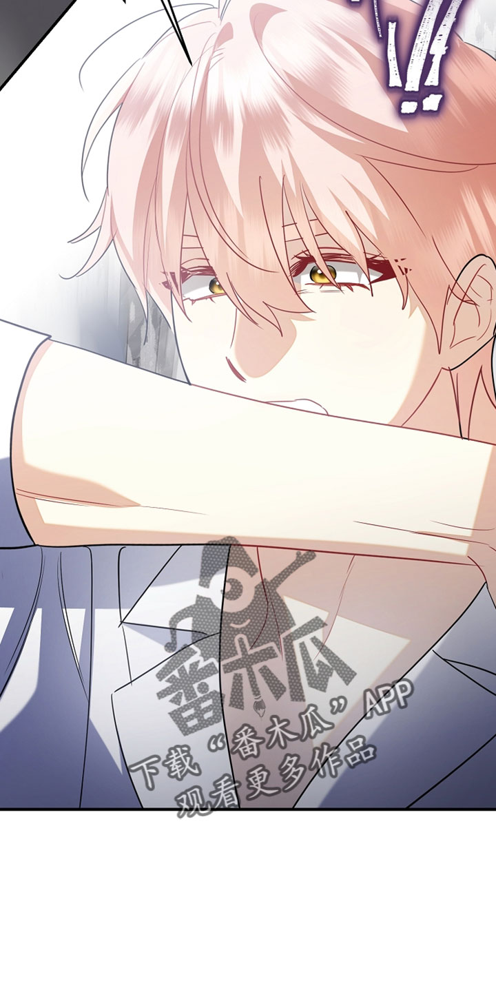 黑豹配偶超棘手角色漫画,第47章：我哪有那样的资格4图