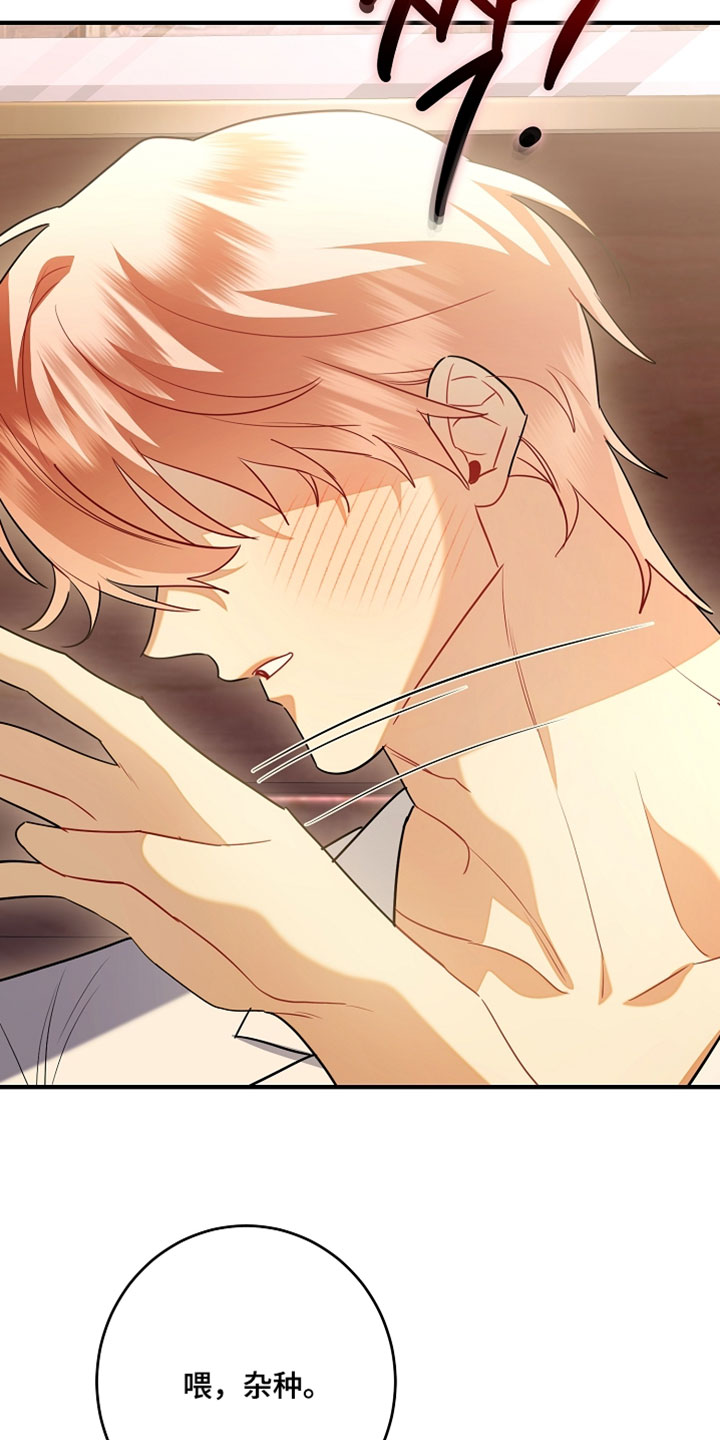 黑豹配偶超棘手免费阅读漫画,第48章：催眠气体3图