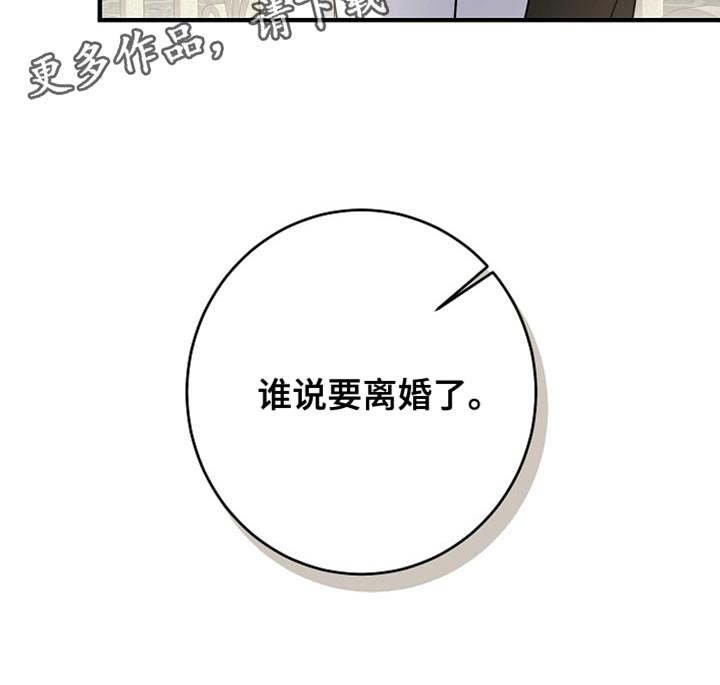 黑豹配偶超棘手结局漫画,第45章：我真的不想离婚1图